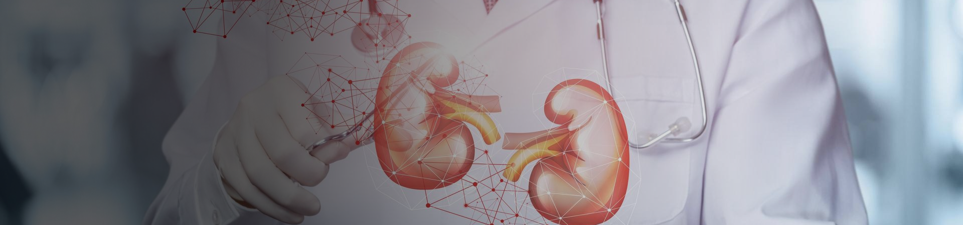 Nephrology