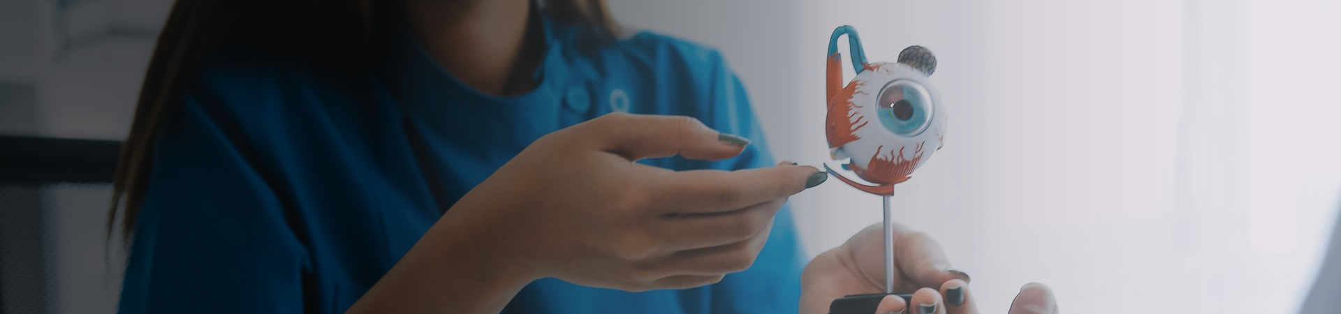 Ophthalmology (Eye Care)