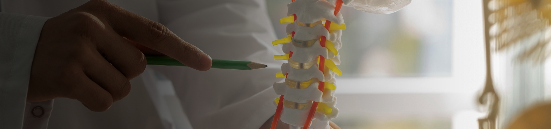 Orthopaedic Surgery